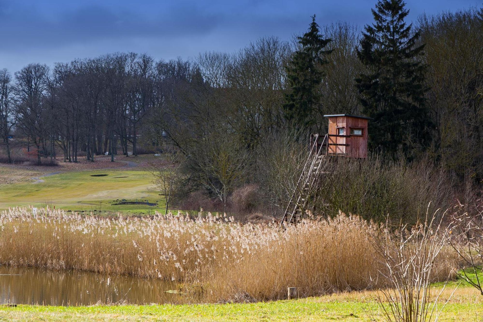Tiny House Fleesensee Mit Eigenem Garten Und Nur Wenige Meter Vom Seeufer Göhren-Lebbin Екстериор снимка